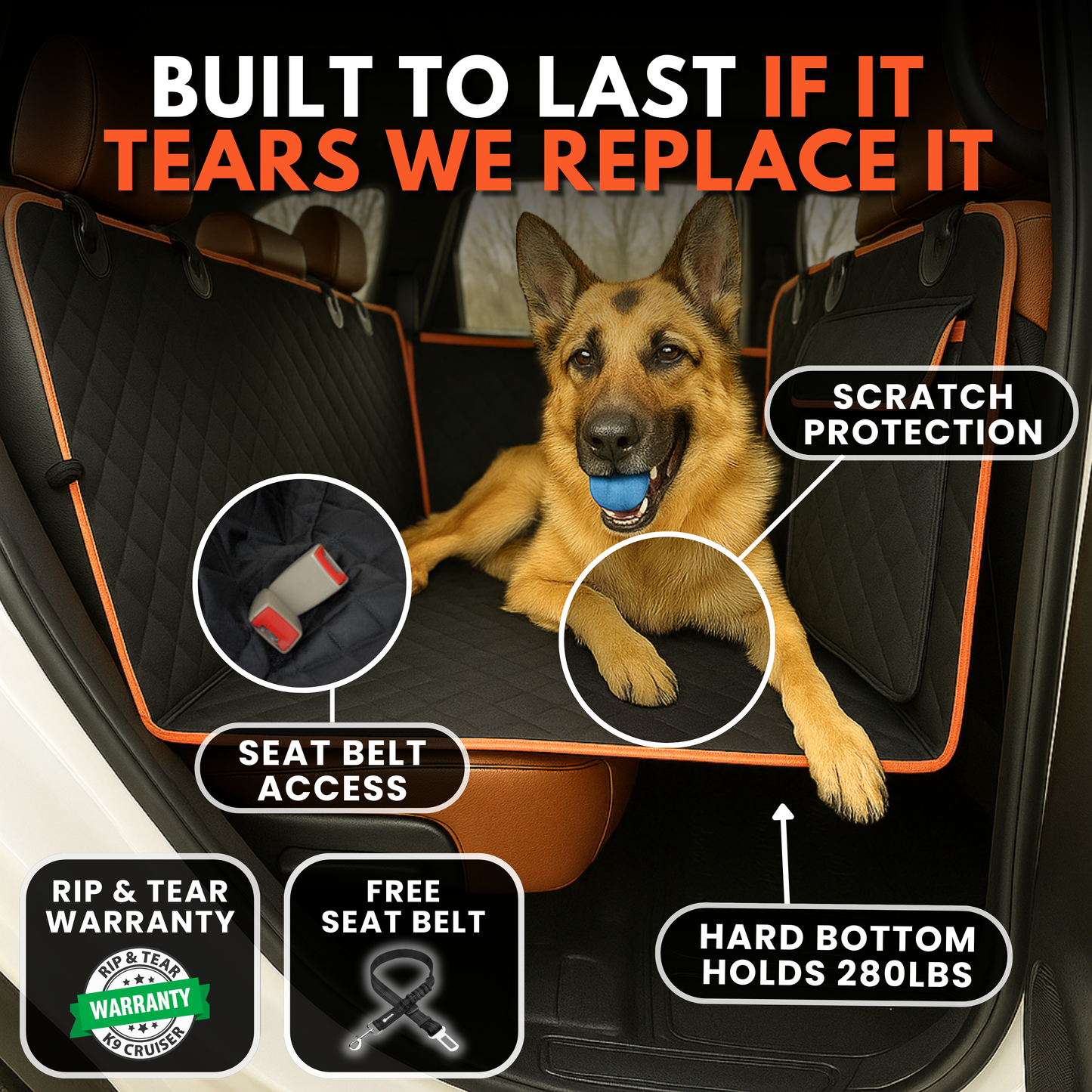 K9 Cruiser