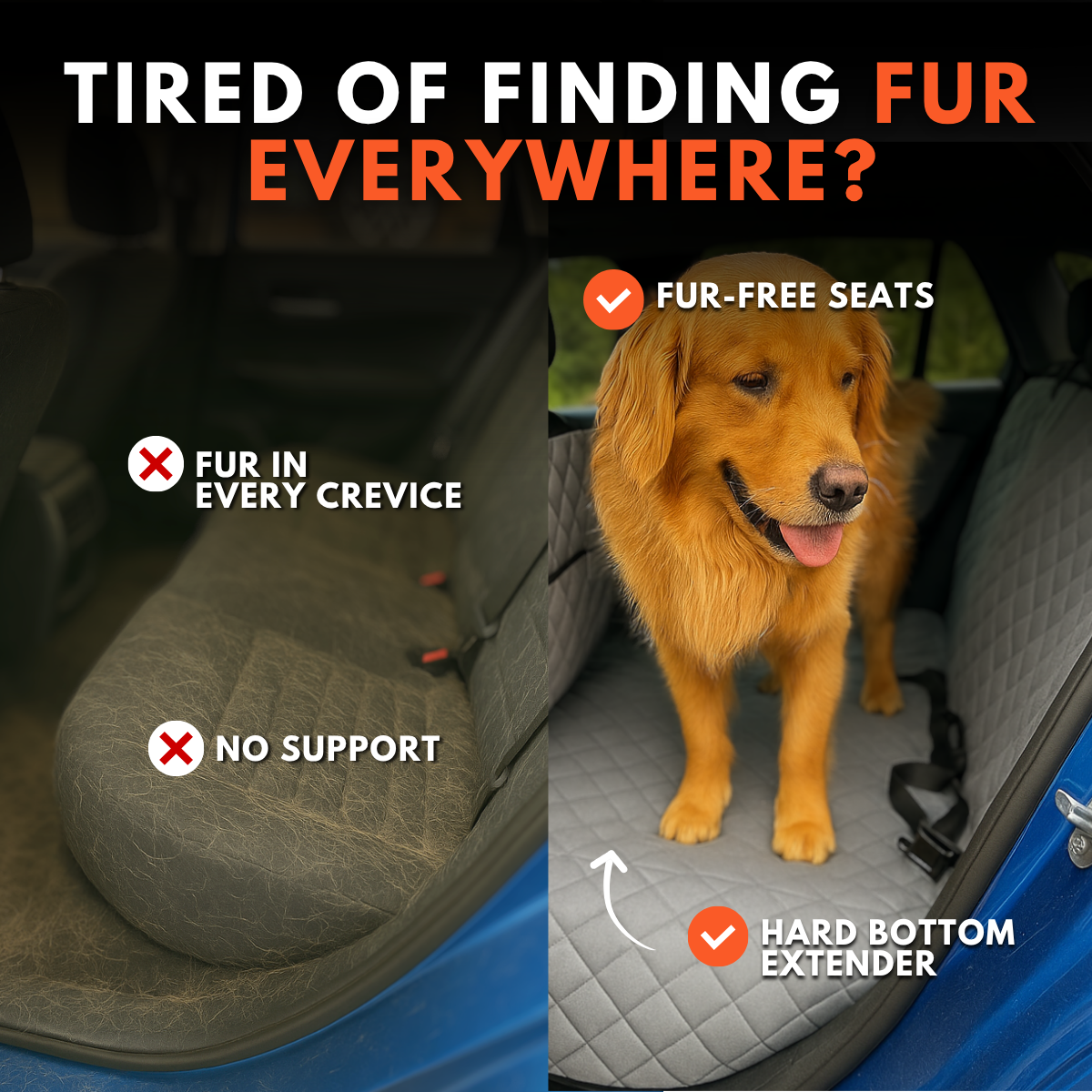 K9 Cruiser - Grey