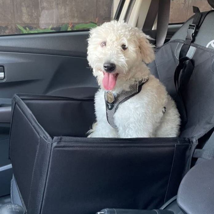 K9 Cruiser - Mini