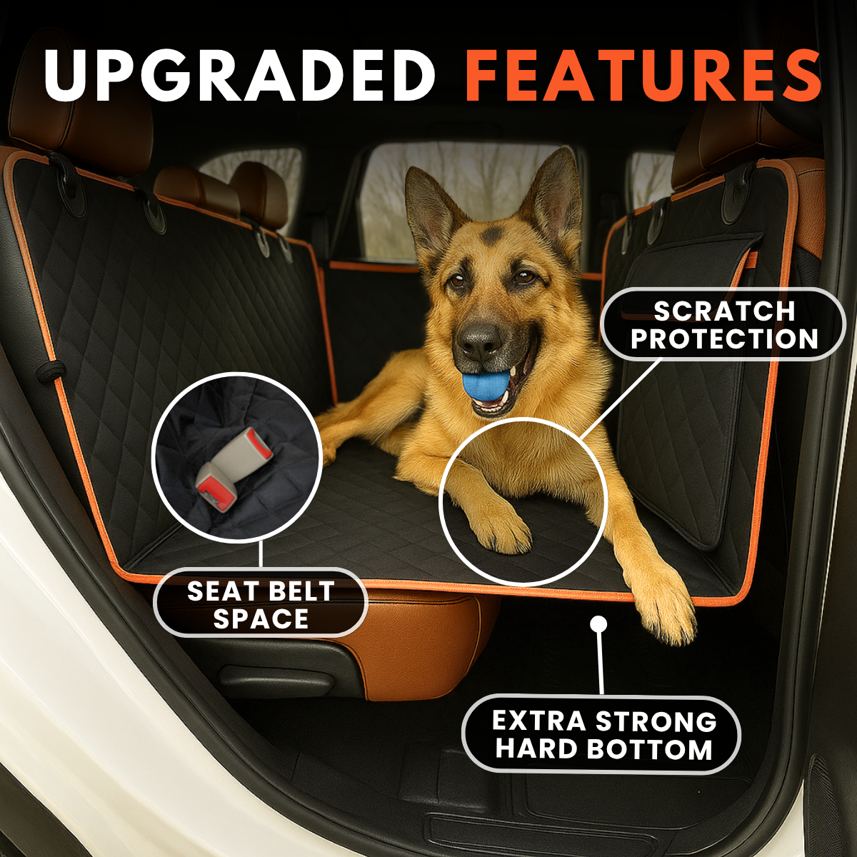 K9 Cruiser