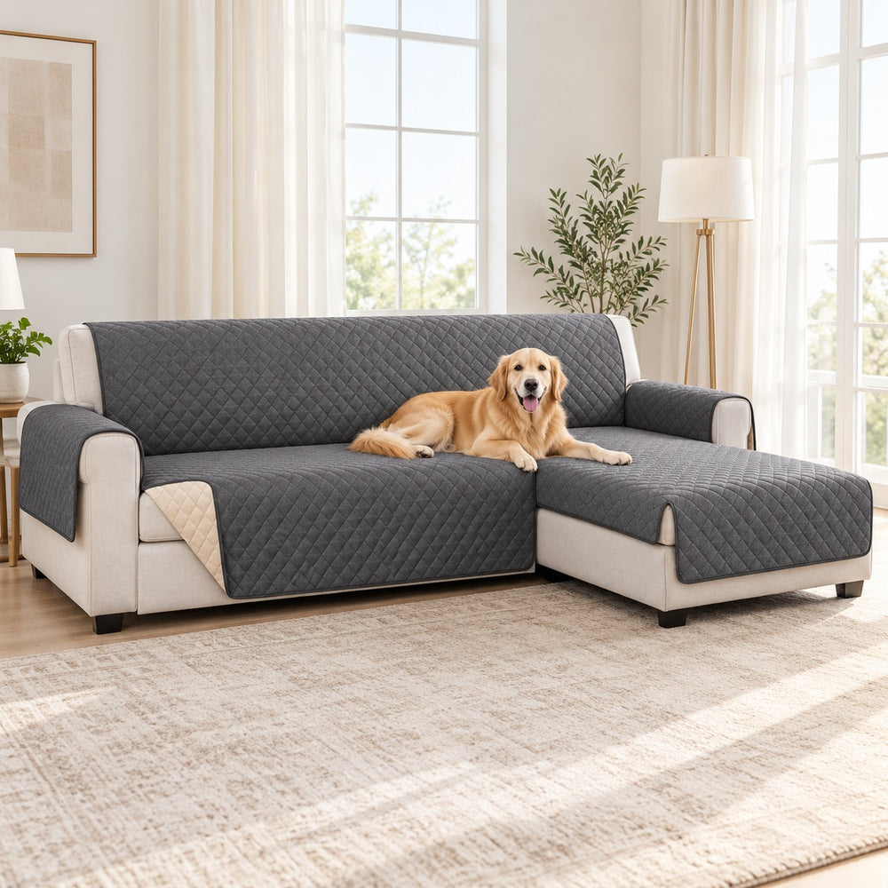 Couch Guard sofa cover fitted to a three-seat sofa in a sunlit living room