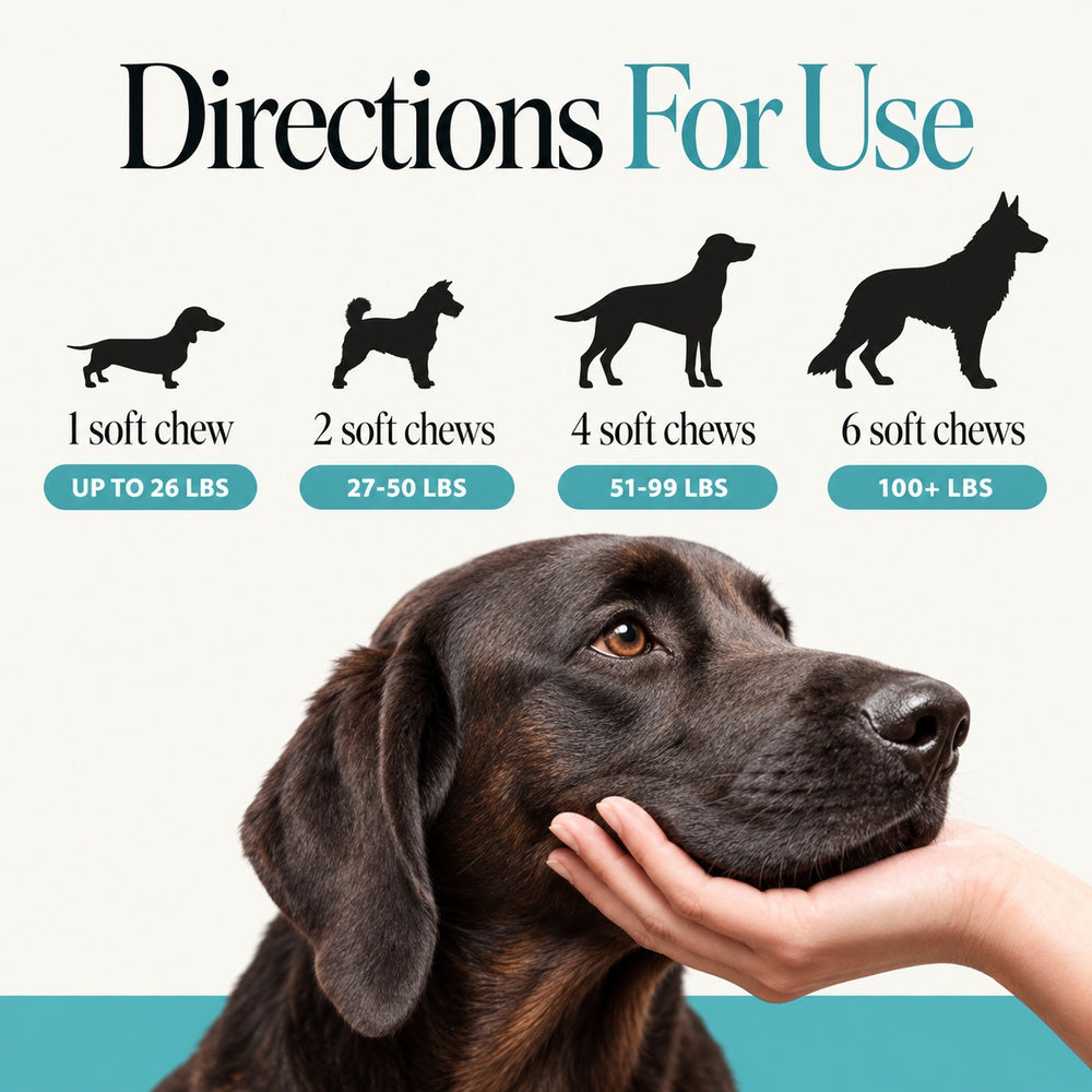 Calm Ride directions for use — chew count by dog weight