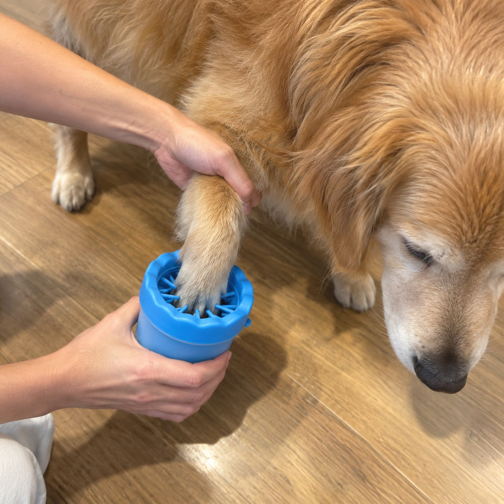 Washing a muddy paw in the PawWash cup at home