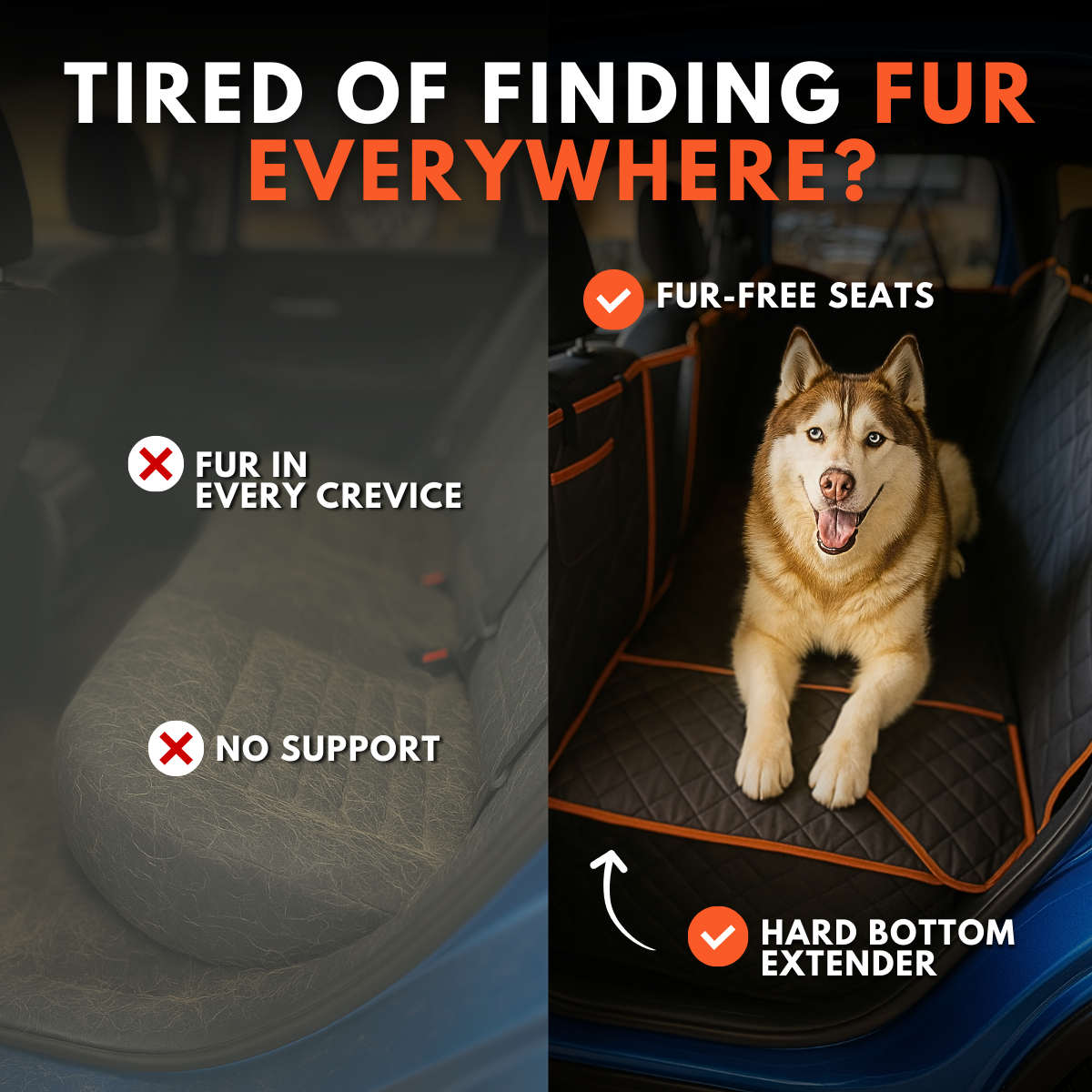 K9 Cruiser