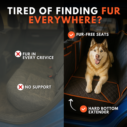K9 Cruiser
