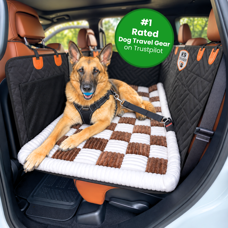K9 Cruiser