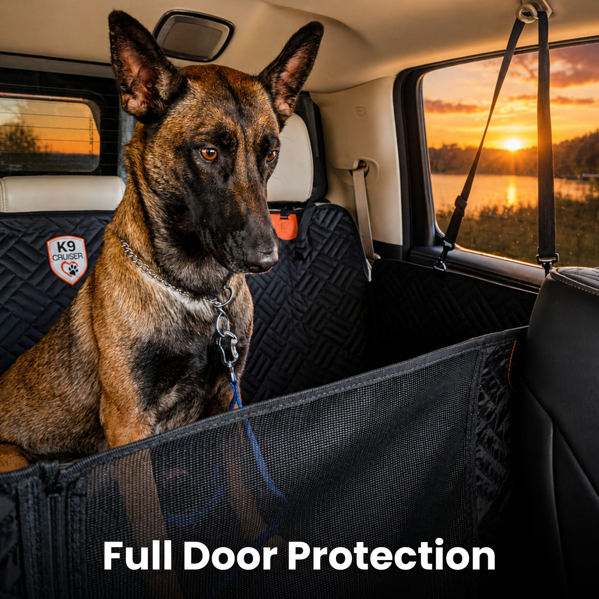 K9 Cruiser