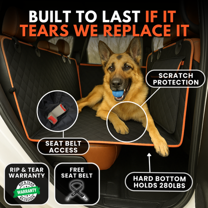 K9 Cruiser
