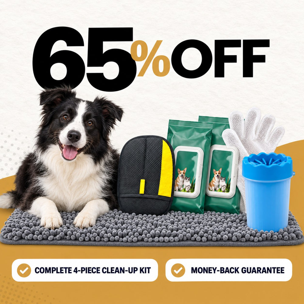 Clean Car, Clean Dog Bundle 65% off — MudStop mat, Sheddi fur removal gloves, two packs of Quick Bath glove wipes and the PawWash paw cleaner cup