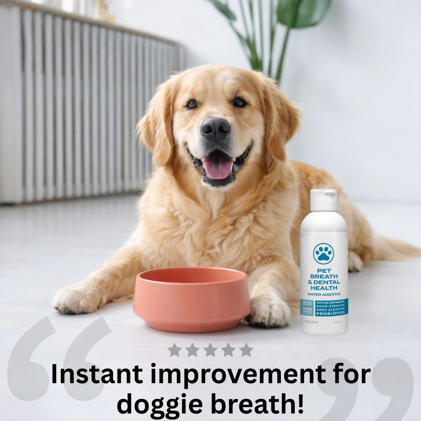 Dog Dental Water Additive