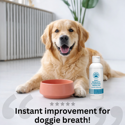 Dog Dental Water Additive