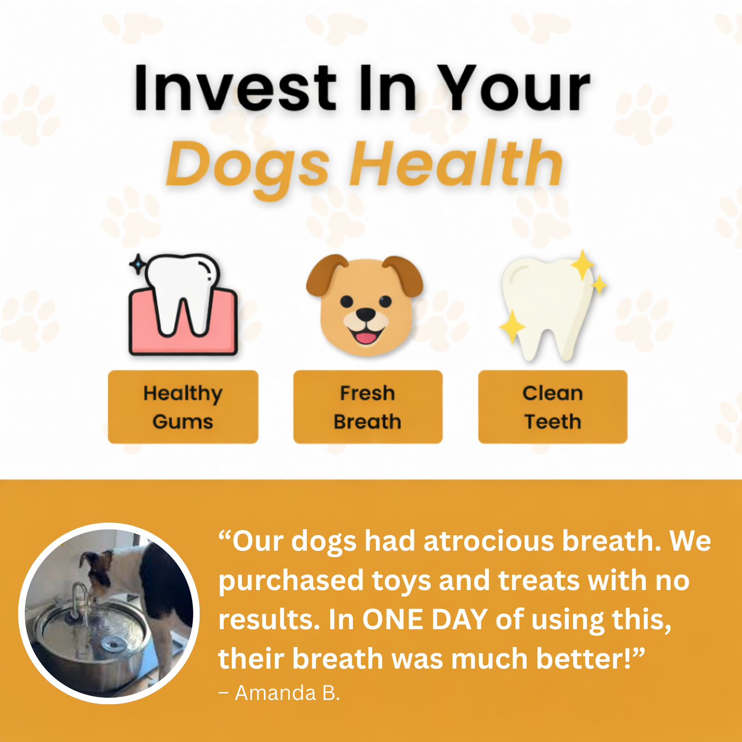 Dog Dental Water Additive