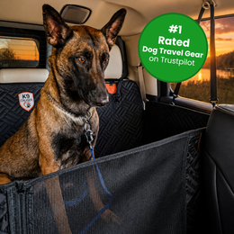 K9 Cruiser