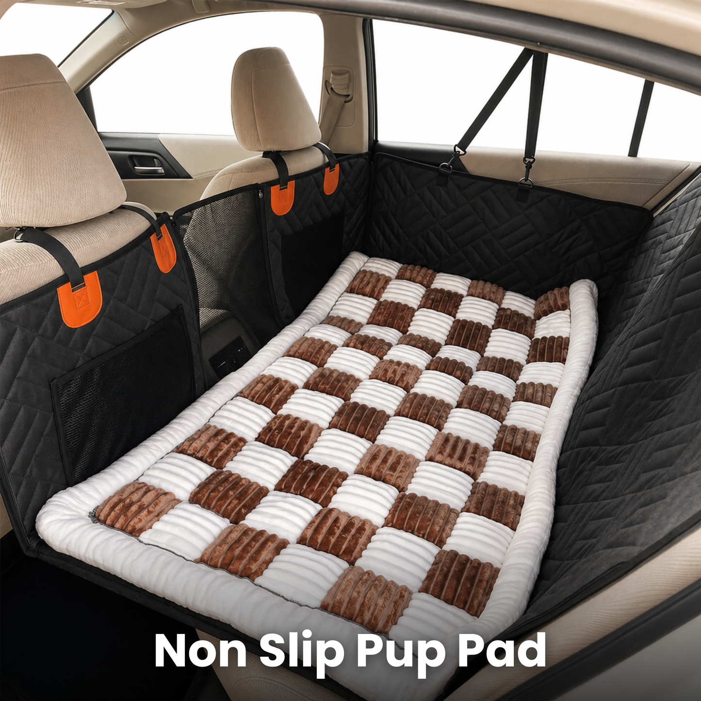 K9 Cruiser