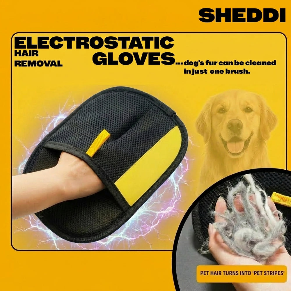 The Sheddi