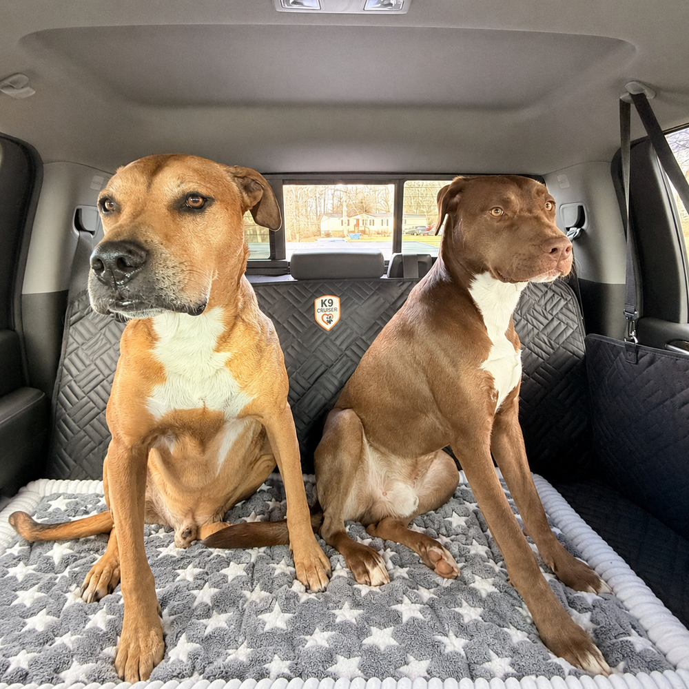 USA Pup Pad (For K9 Cruiser)