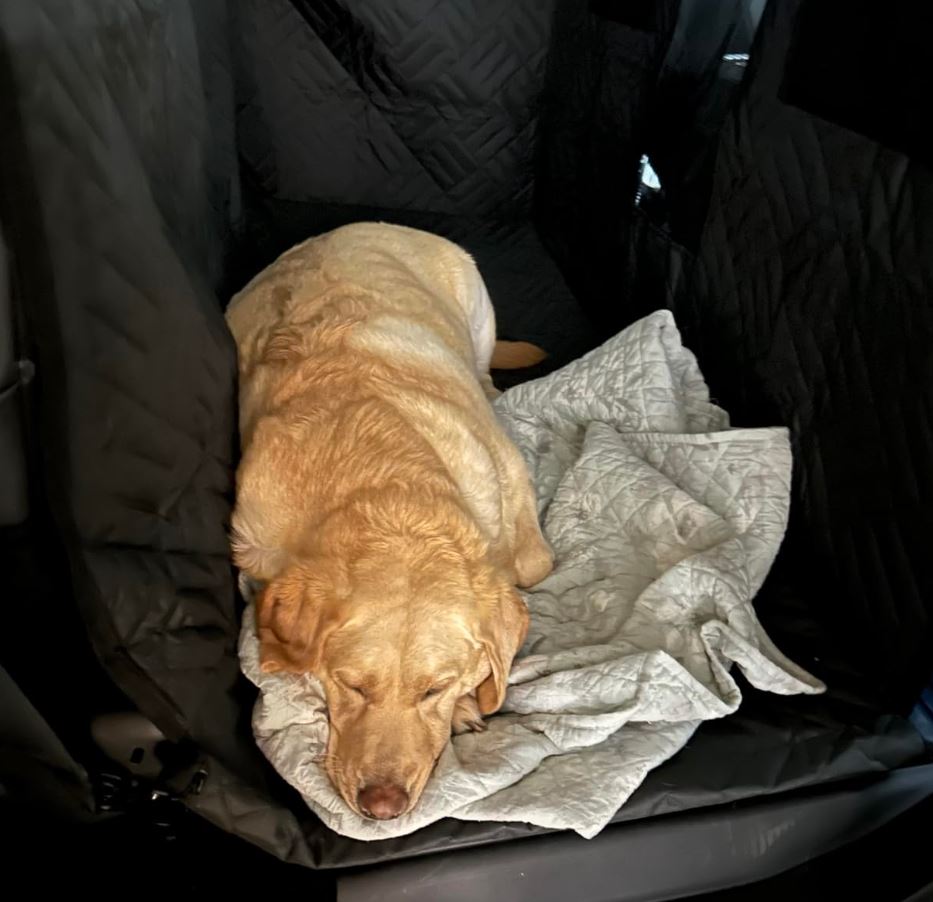 XL Floor Cover for Full-Size Crew Cab Trucks with Fold Up Seats